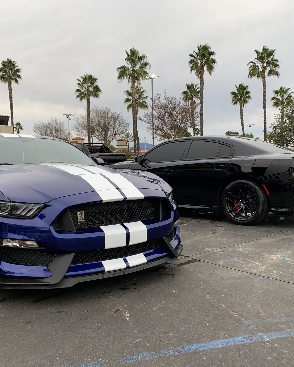 Blue Ford Shelby GT350 and black Dodge Charger Daytona at Mission Grove Car Wash